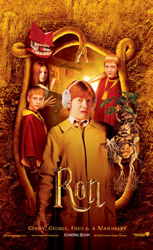 Harry Potter and the Chamber of Secrets - Poster - Ron
