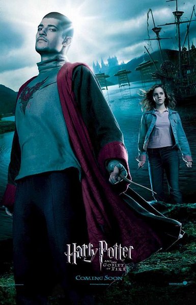 Harry Potter and the Goblet of Fire - Poster - 8