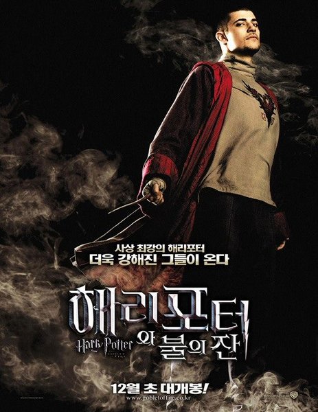 Harry Potter and the Goblet of Fire - Poster - Dark - Viktor