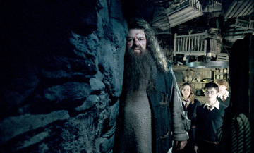 Harry Potter and the Order of Phoenix - 020 - Hagrid