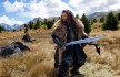 Hobbit, The: An Unexpected Journey - Plagát - Banner stredný - Výprava hore kopcom