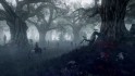 Witcher 3: Wild Hunt, The - 09