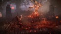 Witcher 3: Wild Hunt, The - Geralt