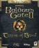Baldur's Gate II: Throne of Bhaal - 2