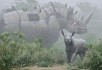 scifi.sk všehochuť - Big Five: Rhino breakdow