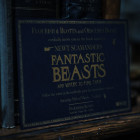 Harry Potter - Scéna - Fantastic Beasts: The Crimes of Grindelwald - Dumbledore