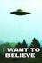 X-Files, The - Poster - "I want to believe"