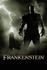 Van Helsing - Frankenstein a monštrum