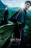 Harry Potter and the Goblet of Fire - Poster - 9