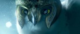 Legend of the Guardians: The Owls of Ga'Hoole - Poster - 11