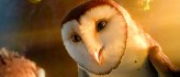 Legend of the Guardians: The Owls of Ga'Hoole - Poster - 5