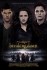 Twilight Saga: Breaking Dawn - Part 2, The - Poster - International Poster